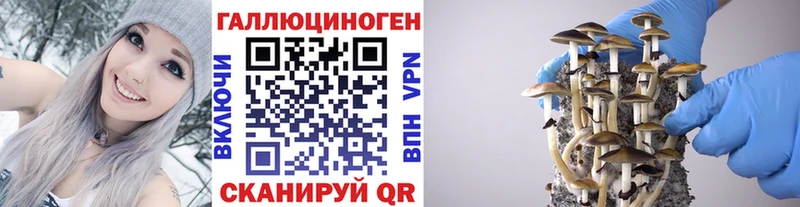 Галлюциногенные грибы прущие грибы  Тула 